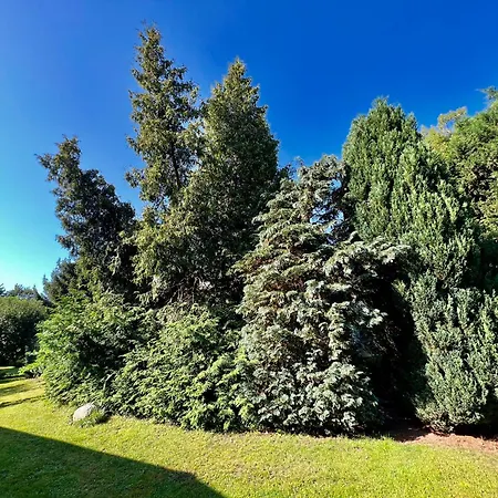公寓 Haus Am Berg1 Neuenkirchen (Landhagen)